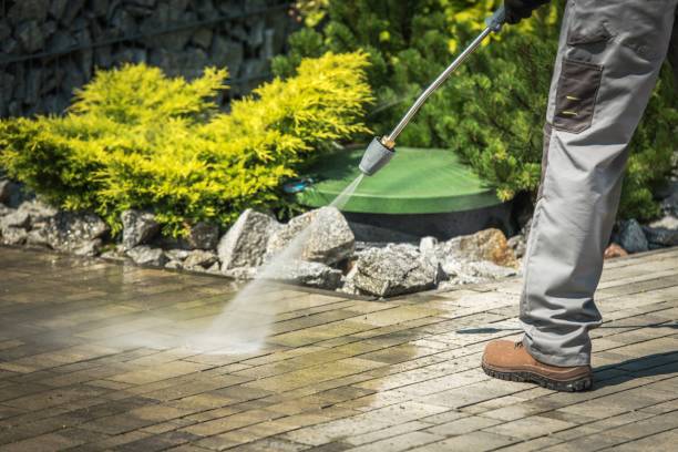 Best Parking Lot Cleaning in Danvers, IL